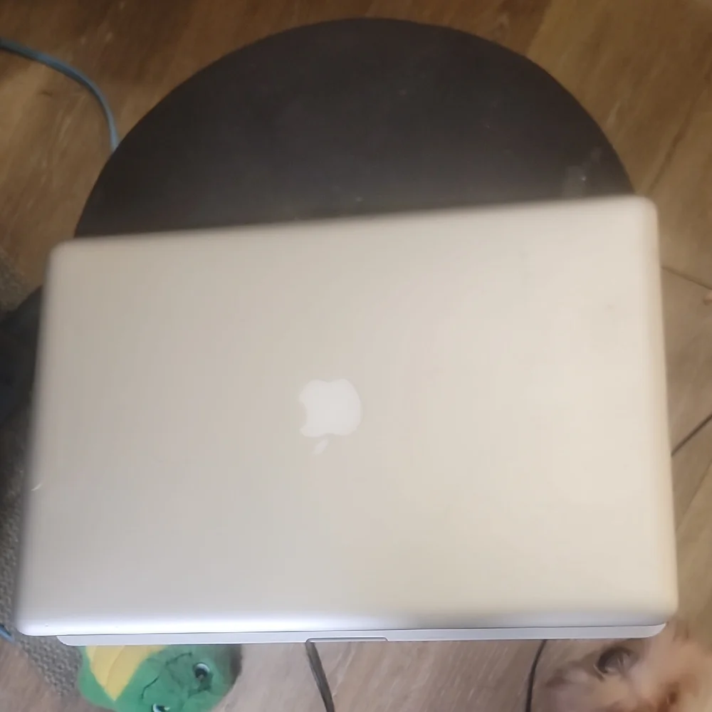 Apple 2011 mac